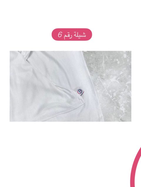 شيلة رقم 6